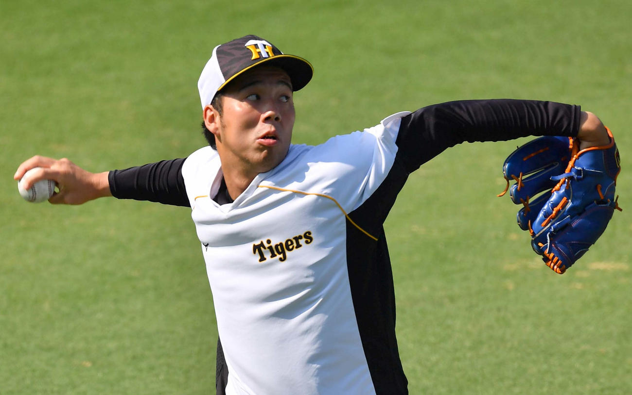 キャッチボールをして調整する阪神青柳晃洋（撮影・上田博志）