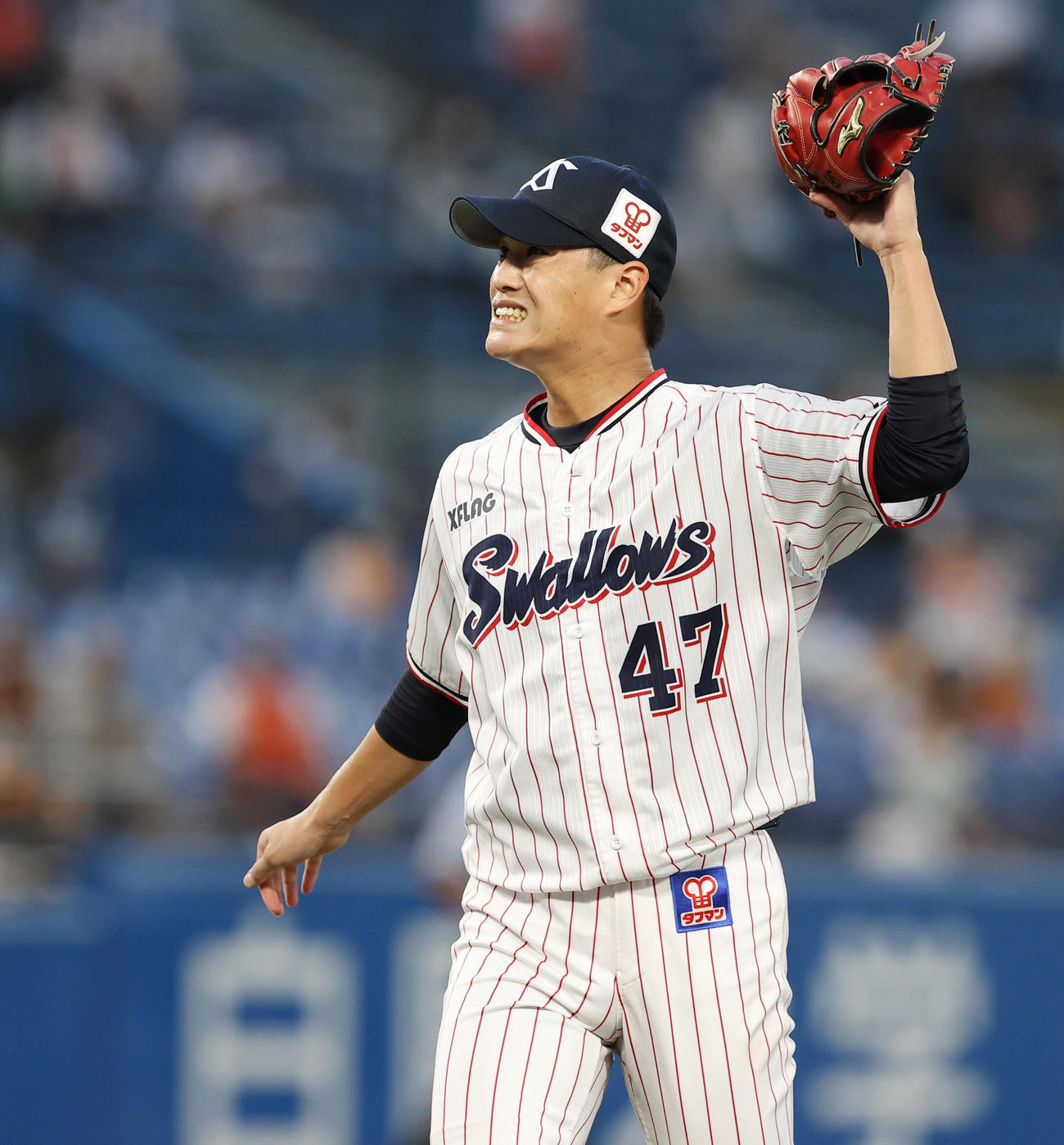 ヤクルト対巨人　1回の登板を終え2失点を喫したヤクルト先発の高橋は悔しそうな表情を浮かべ引き揚げる（撮影・垰建太）