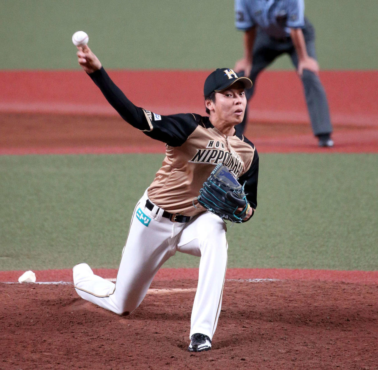 西武対日本ハム　6回途中3失点で5勝目を挙げた日本ハム杉浦（撮影・黒川智章）