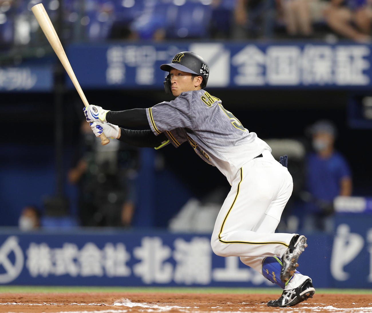 阪神近本光司（20年8月10日撮影）