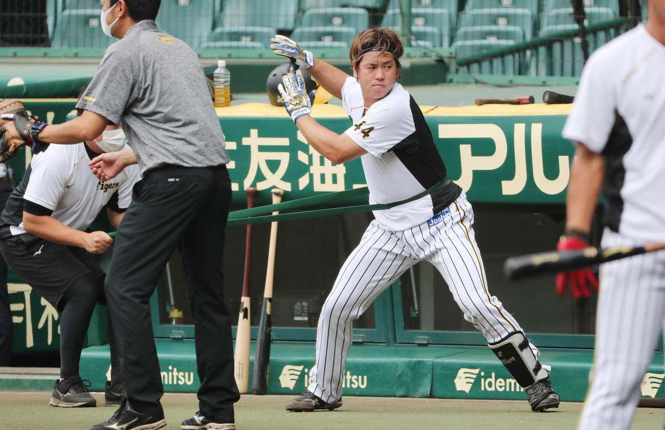 練習を行う梅野隆太郎（撮影・清水貴仁）