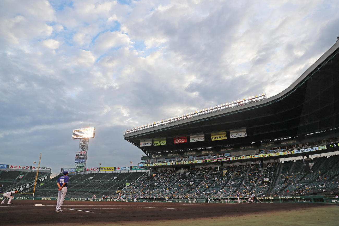 試合開始直前の雨が止み、曇り空の下で投球する青柳（撮影・清水貴仁）