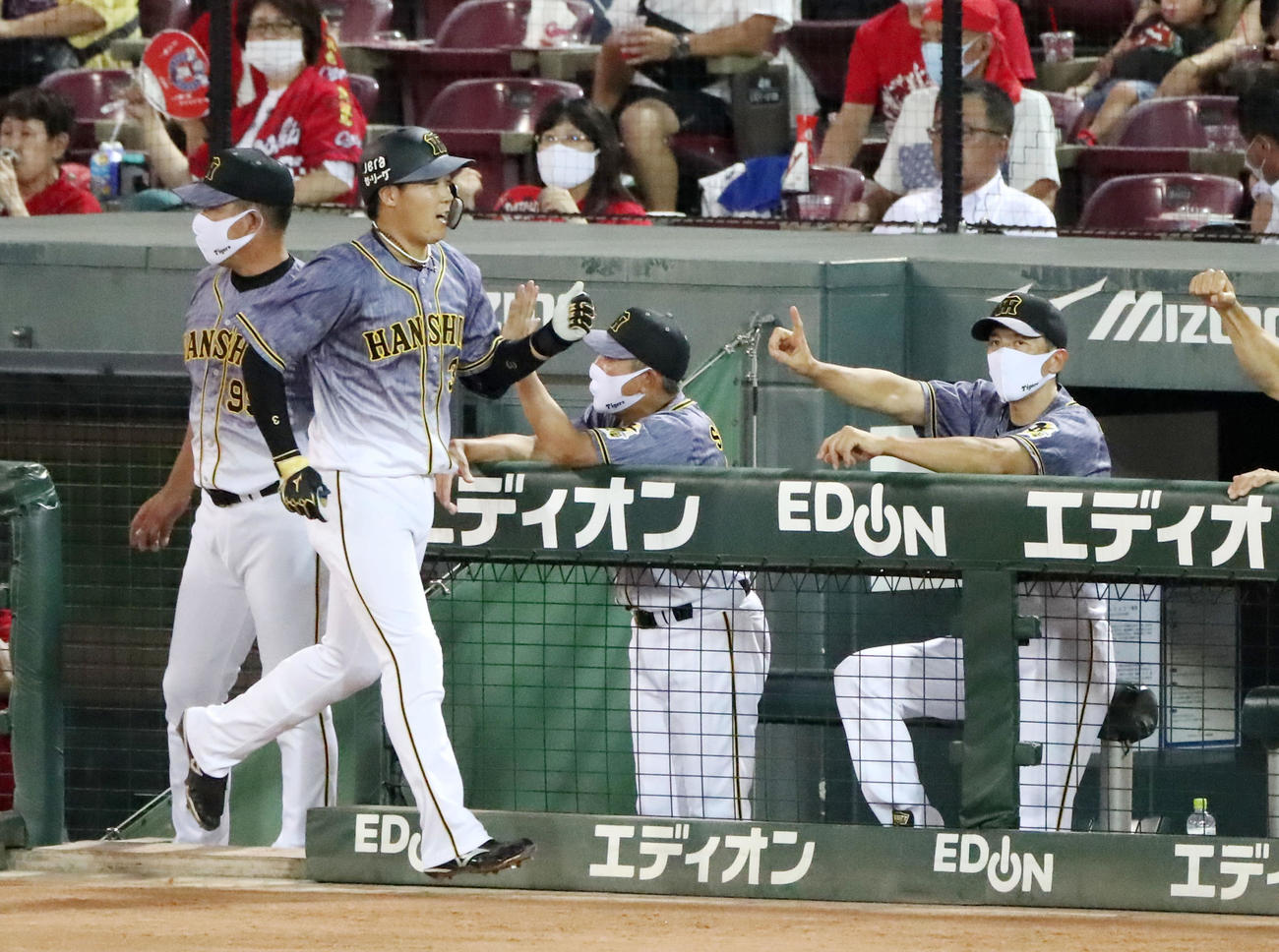 広島対阪神　7回表阪神無死、矢野監督は左越え本塁打を放った大山をベンチからエアタッチで出迎える（撮影・加藤哉）