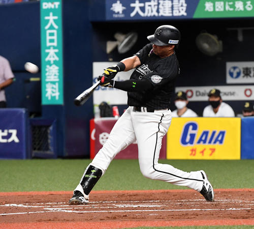 マーティン ロッテでは落合以来の月間10本塁打 プロ野球写真ニュース 日刊スポーツ
