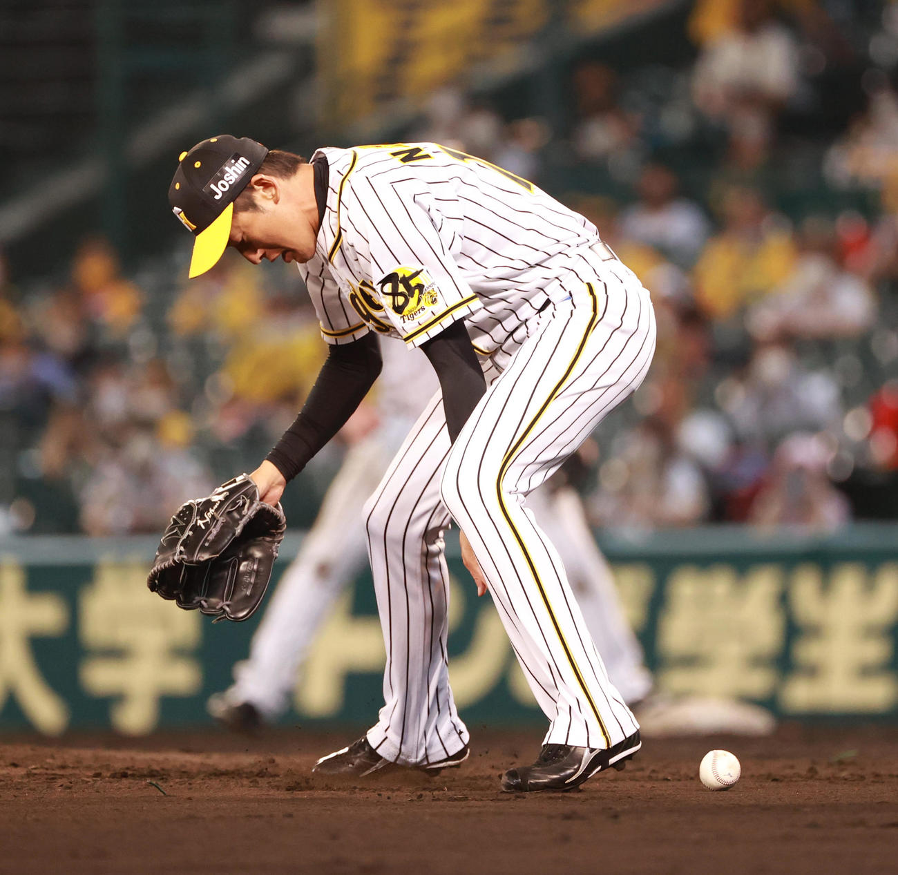 山崎の投ゴロをはじき、こぼれたボールも手につかず適時失策となる能見篤史（撮影・清水貴仁）