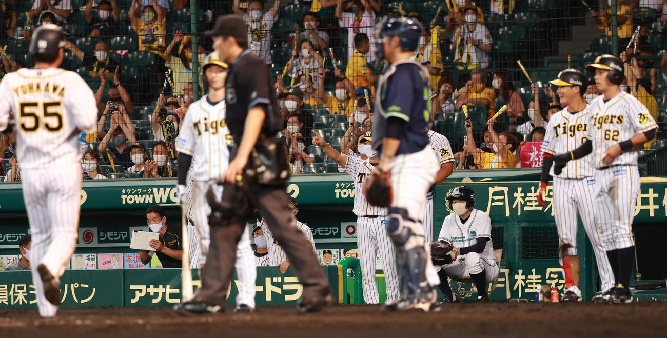7回裏阪神2死二、三塁、打者近本光司の時にヤクルトのスコット・マクガフが無人の一塁へけん制してしまい、植田海（右）、陽川尚将が生還し逆転する（撮影・清水貴仁）