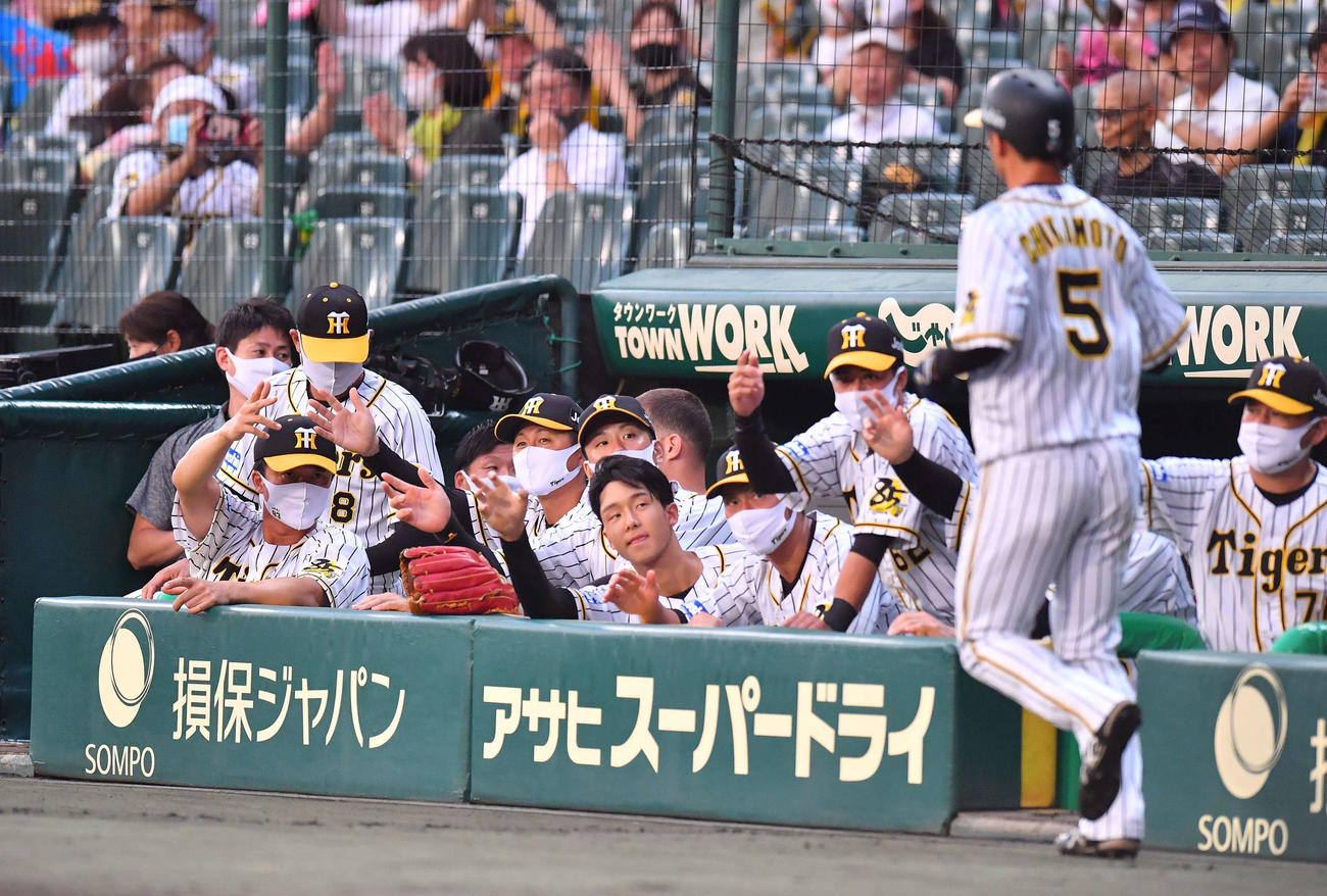 阪神対ヤクルト　1回裏阪神木浪聖也の右前に適時打で生還した近本光司をベンチで出迎える阪神ナイン（撮影・上田博志）