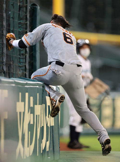 阪神対巨人　2回裏阪神2死二塁、近本の邪飛を好捕しフェンスに激突する遊撃手の坂本（撮影・河野匠）