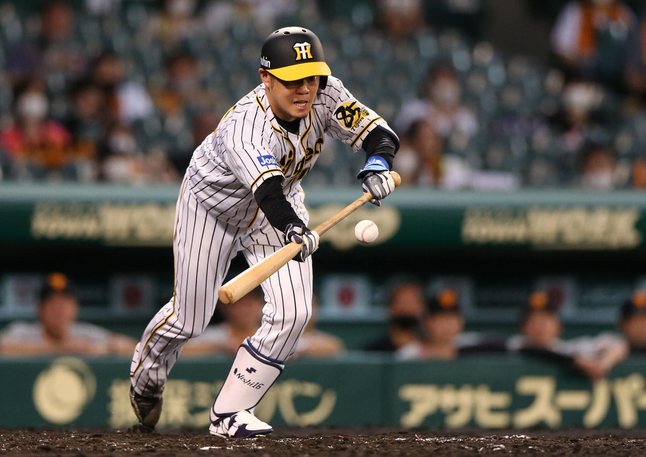阪神対巨人　2回裏阪神1死一、三塁、西勇はセーフティースクイズを決める（撮影・上山淳一）