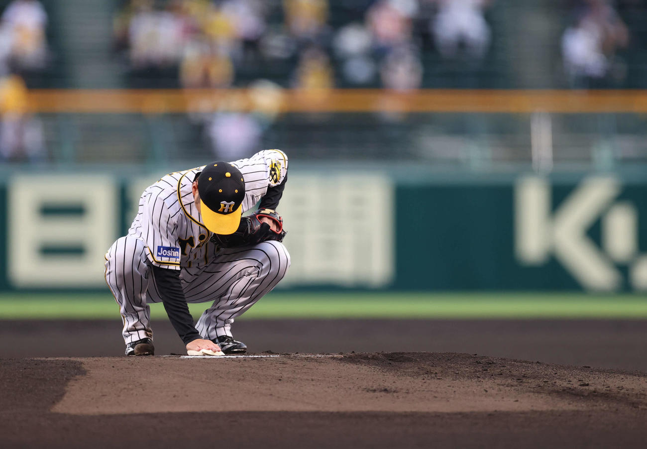 阪神対巨人　1回表、投球前に集中力を高める西勇（撮影・河野匠）