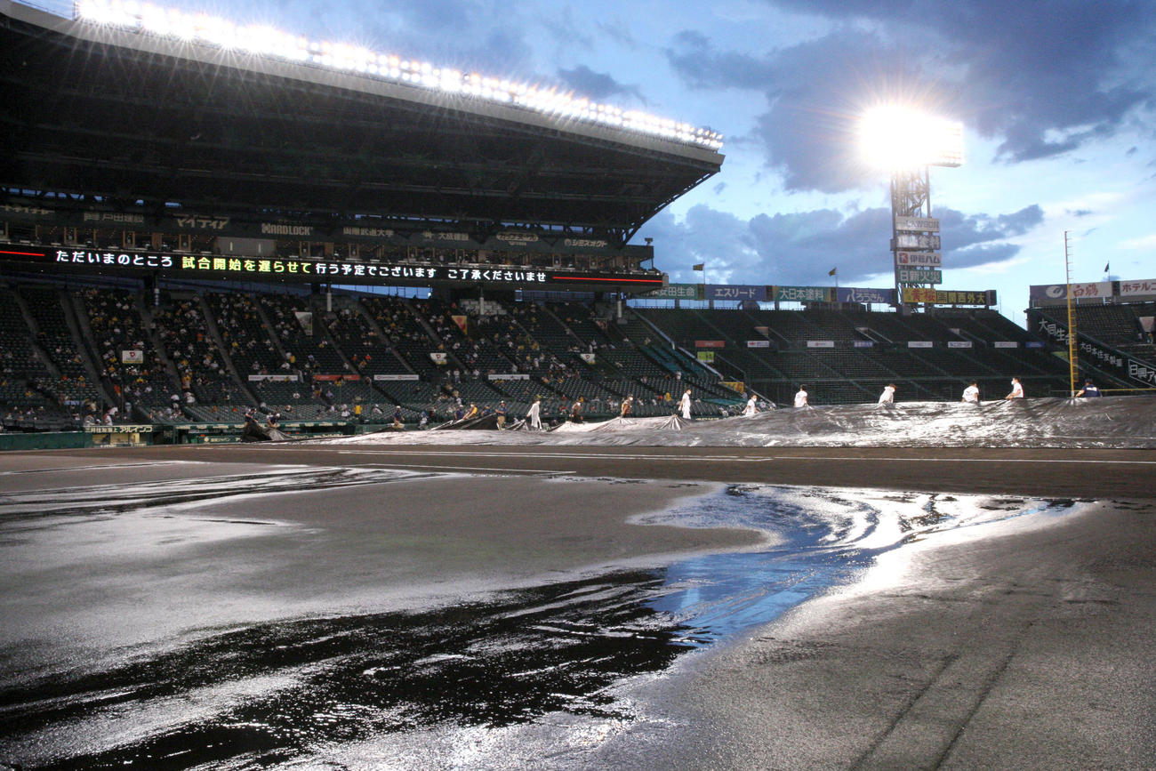阪神対巨人　雨やみシートが外される甲子園球場（撮影・上山淳一）