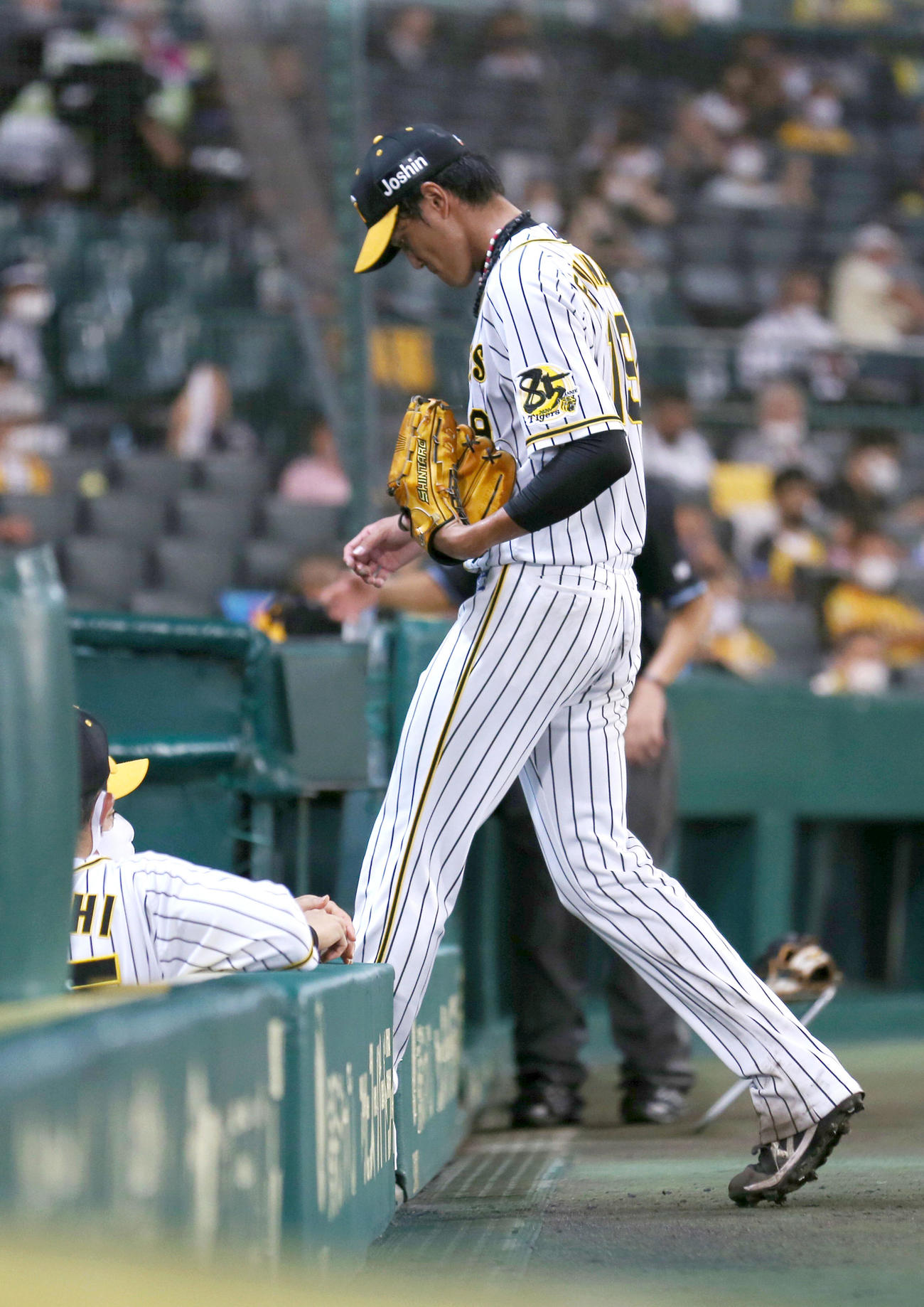 阪神対巨人　藤浪は5回途中で降板となりうつむきながらベンチに引き揚げる（撮影・上山淳一）