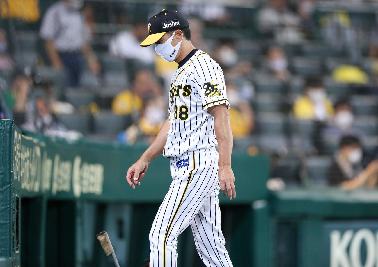 阪神対巨人　5回途中で藤浪を交代させベンチへ引き揚げる矢野監督（撮影・上山淳一）