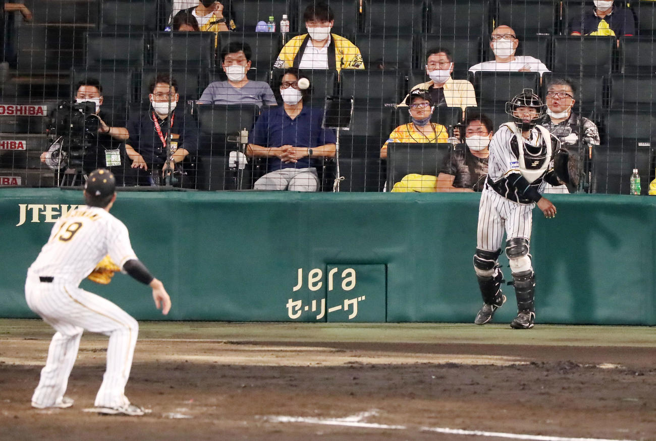 阪神対巨人　5回表巨人2死満塁、松原の二ゴロで小幡からの悪送球を梅野が捕球し本塁カバーの藤浪（左）へ送球する（撮影・加藤哉）