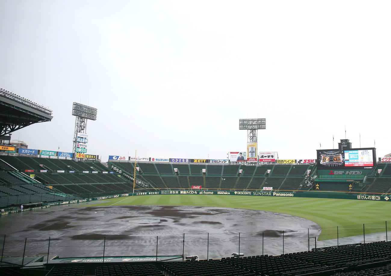 阪神対巨人　降雨でぬかるむ甲子園球場のグラウンド（撮影・上山淳一）