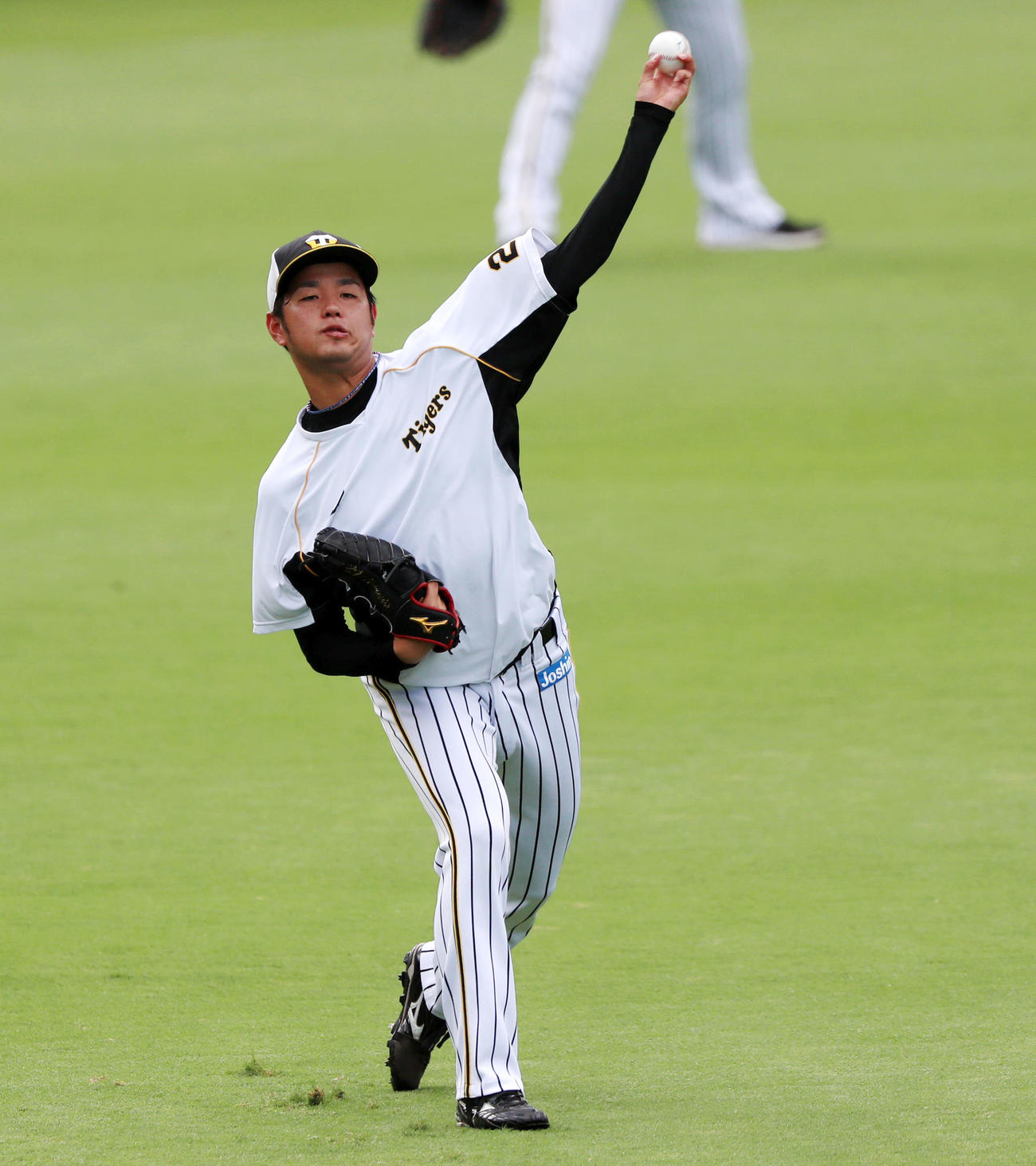 阪神対巨人　練習でキャッチボールする高橋（撮影・加藤哉）
