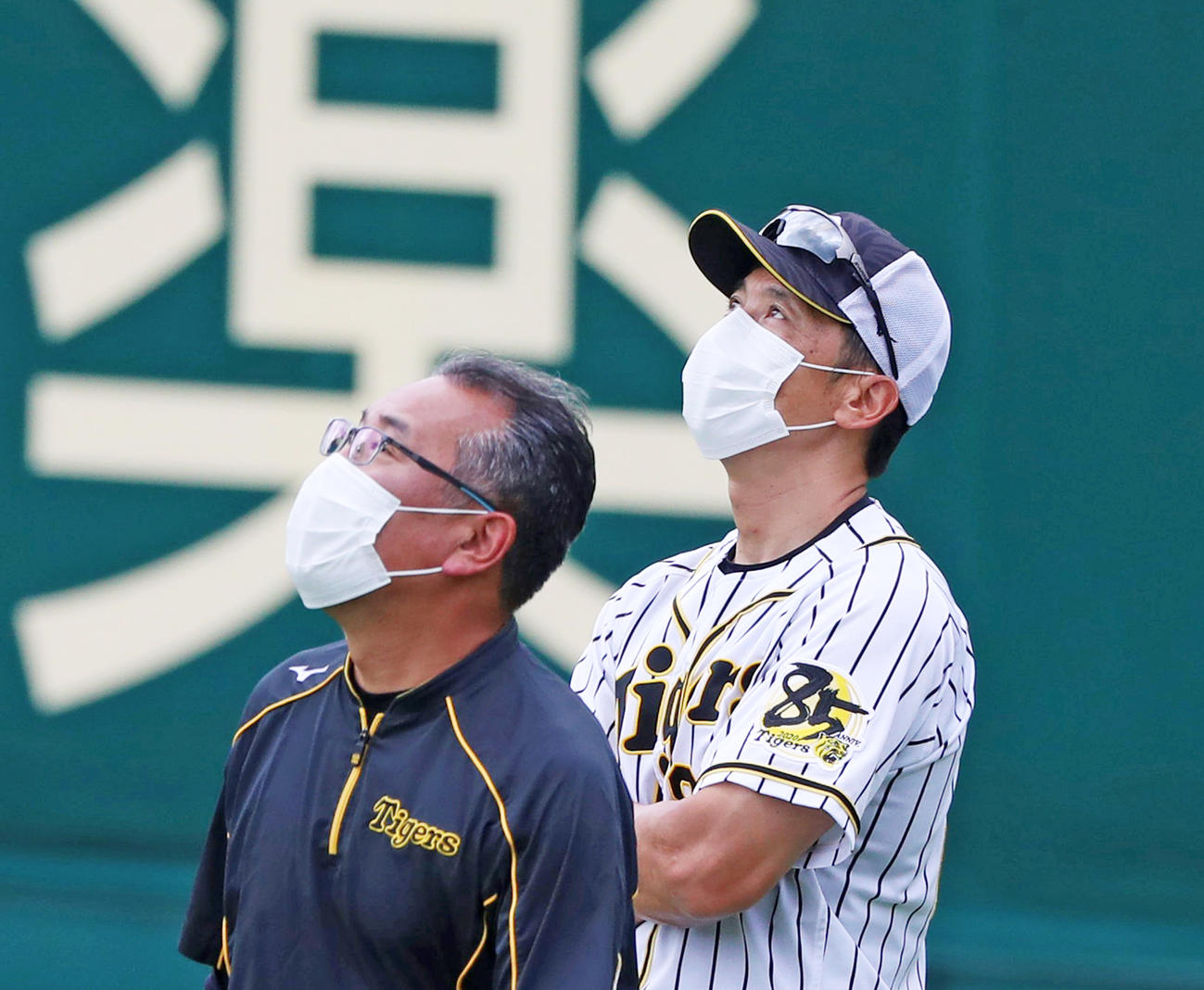 外野から打撃練習を見る矢野監督（撮影・加藤哉）