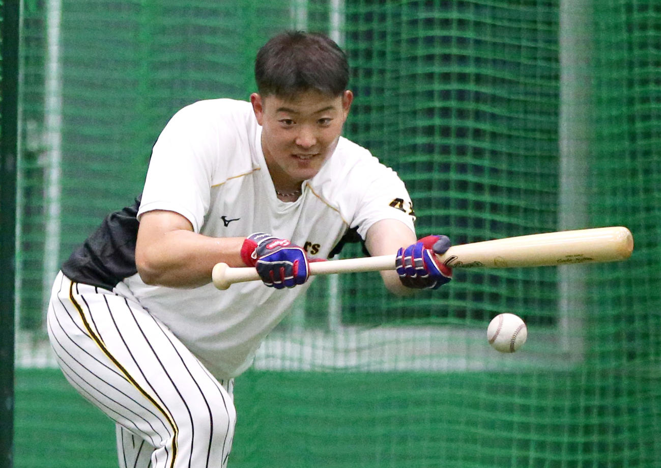 阪神対巨人　試合前、室内でバント練習を行う斎藤（撮影・上山淳一）