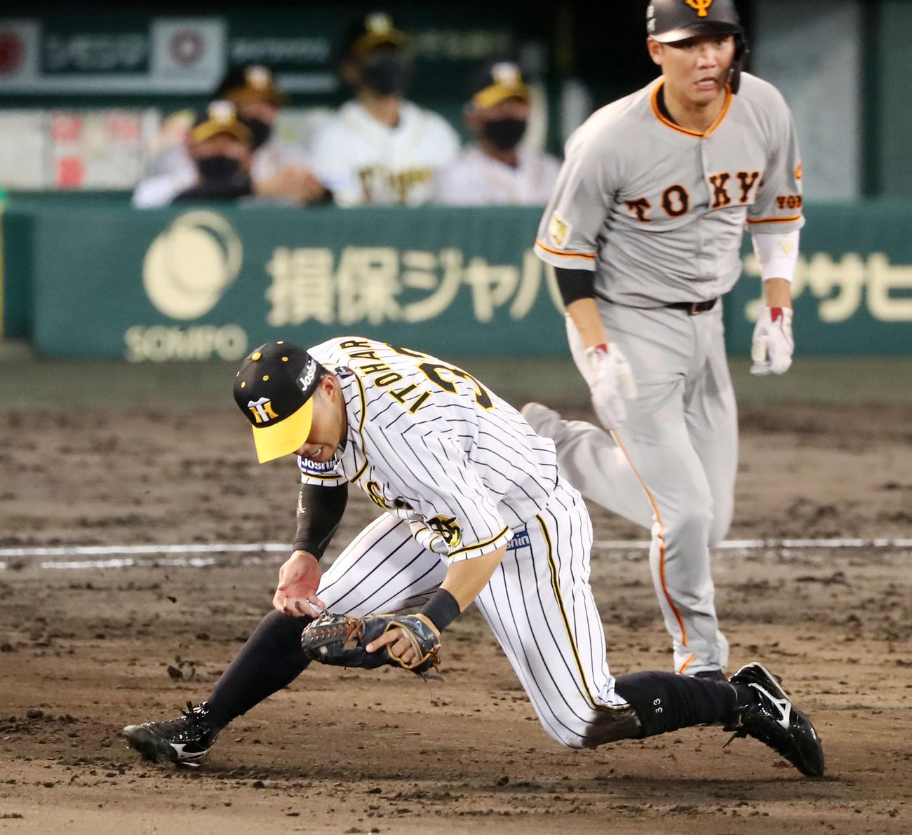 8回表巨人1死満塁、糸原は代打亀井の打球を捕球し、本塁封殺する（撮影・加藤哉）