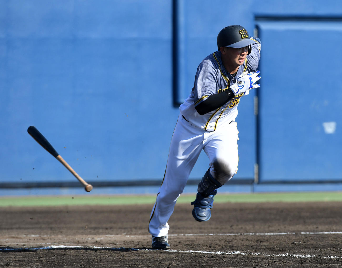 ウエスタン・リーグ、オリックス対阪神　8回表阪神1死、井上は右前打を放つ（撮影・前岡正明）