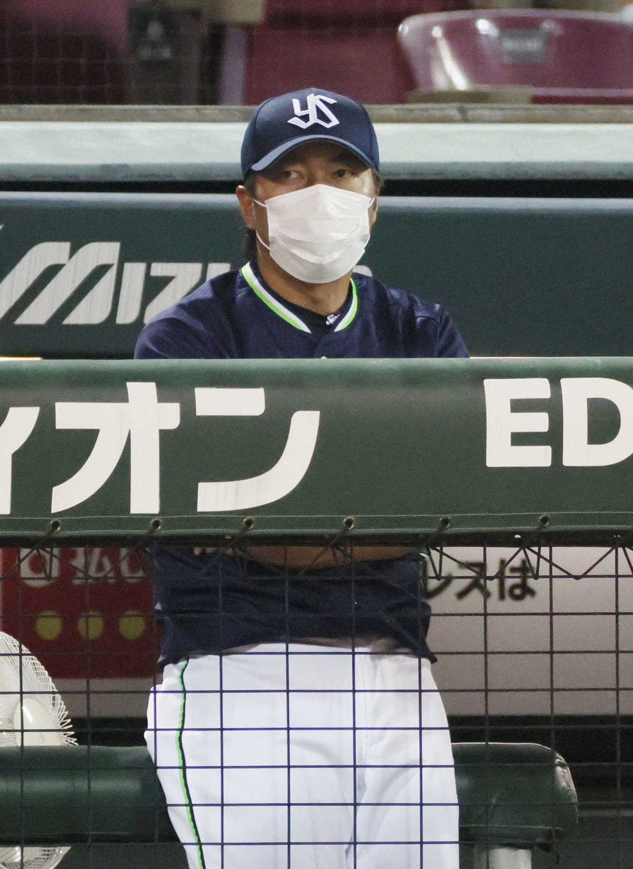 広島対ヤクルト　8回表ヤクルト、ベンチの高津監督（撮影・加藤孝規）