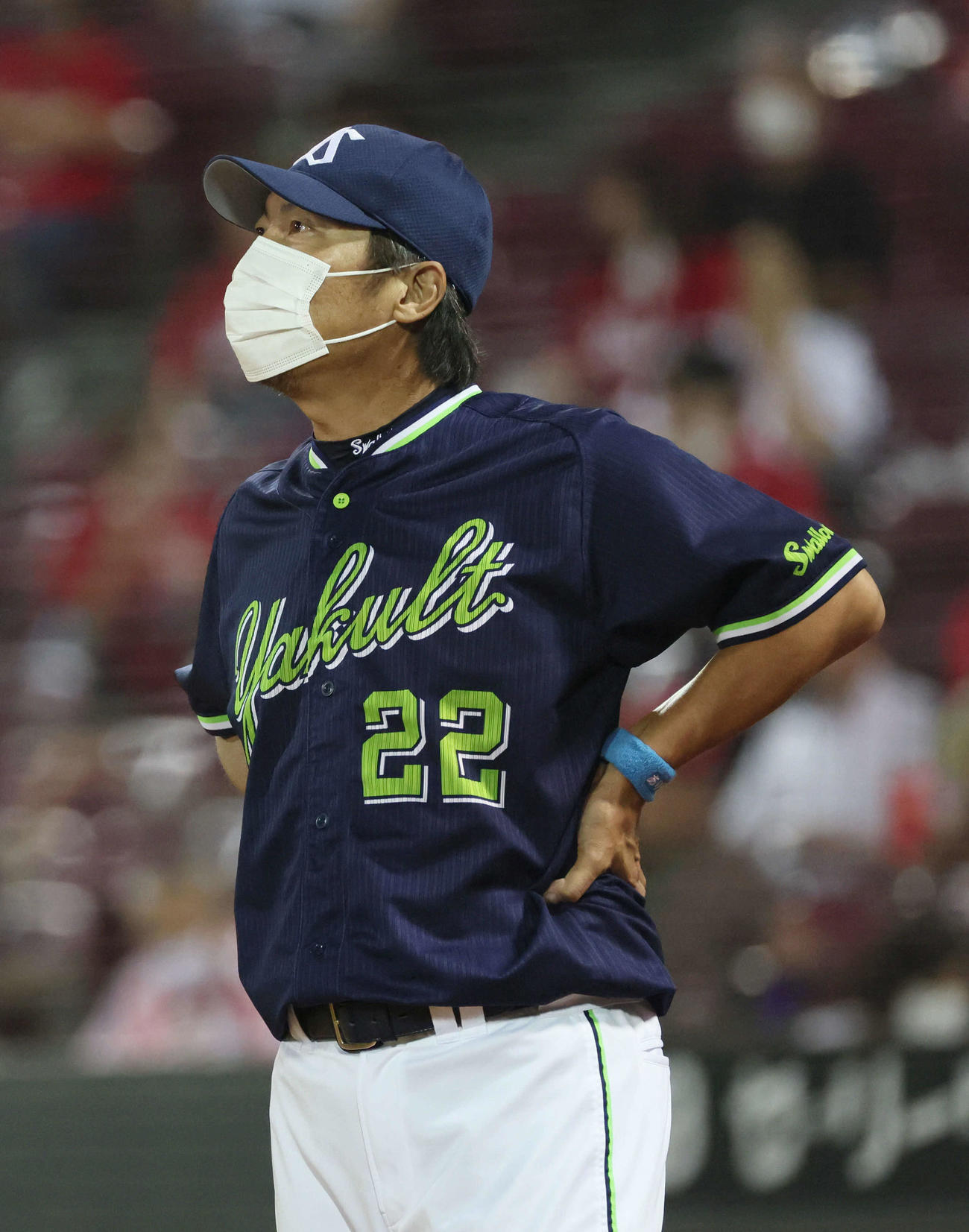 広島対ヤクルト　3回裏広島、交代を告げる高津監督（撮影・加藤孝規）