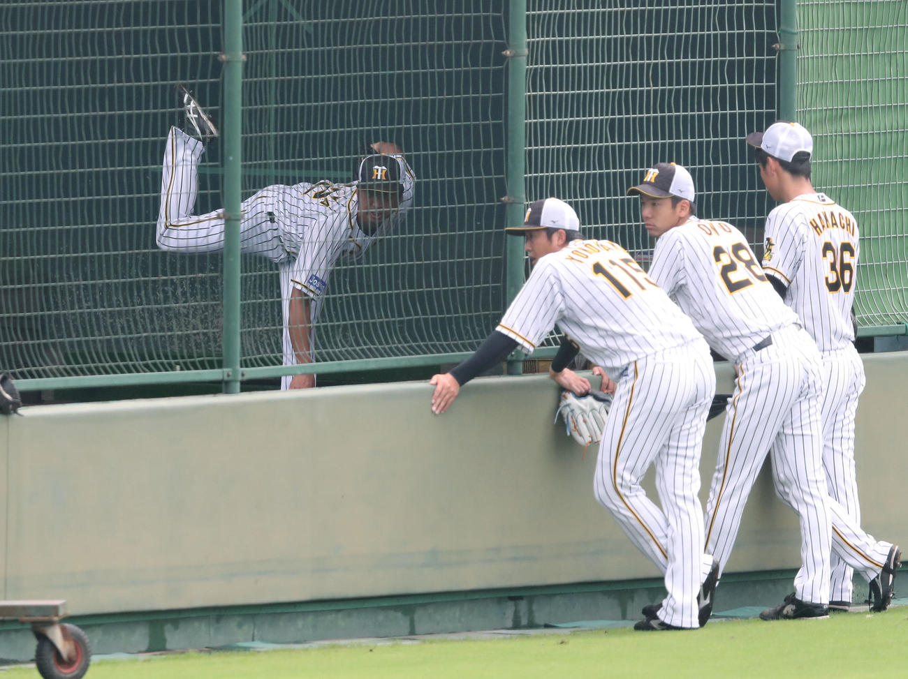 ブルペンで投球練習する藤川球児（左奥）見守る左から、横山、小野、浜地（代表撮影）