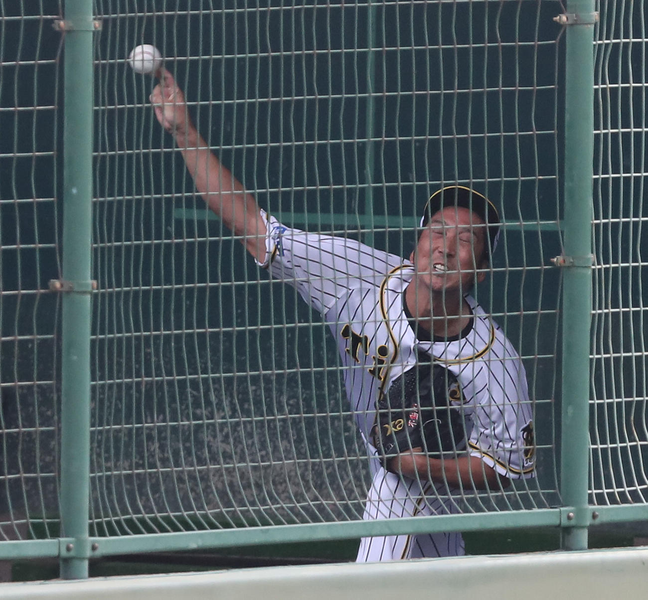 ブルペンで投球練習する藤川球児（代表撮影）