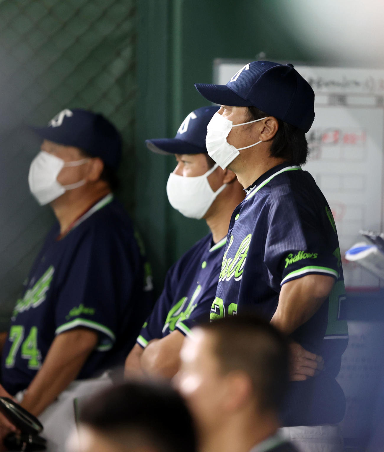 巨人対ヤクルト　9回表、じっと戦況を見つめる高津監督（撮影・狩俣裕三）