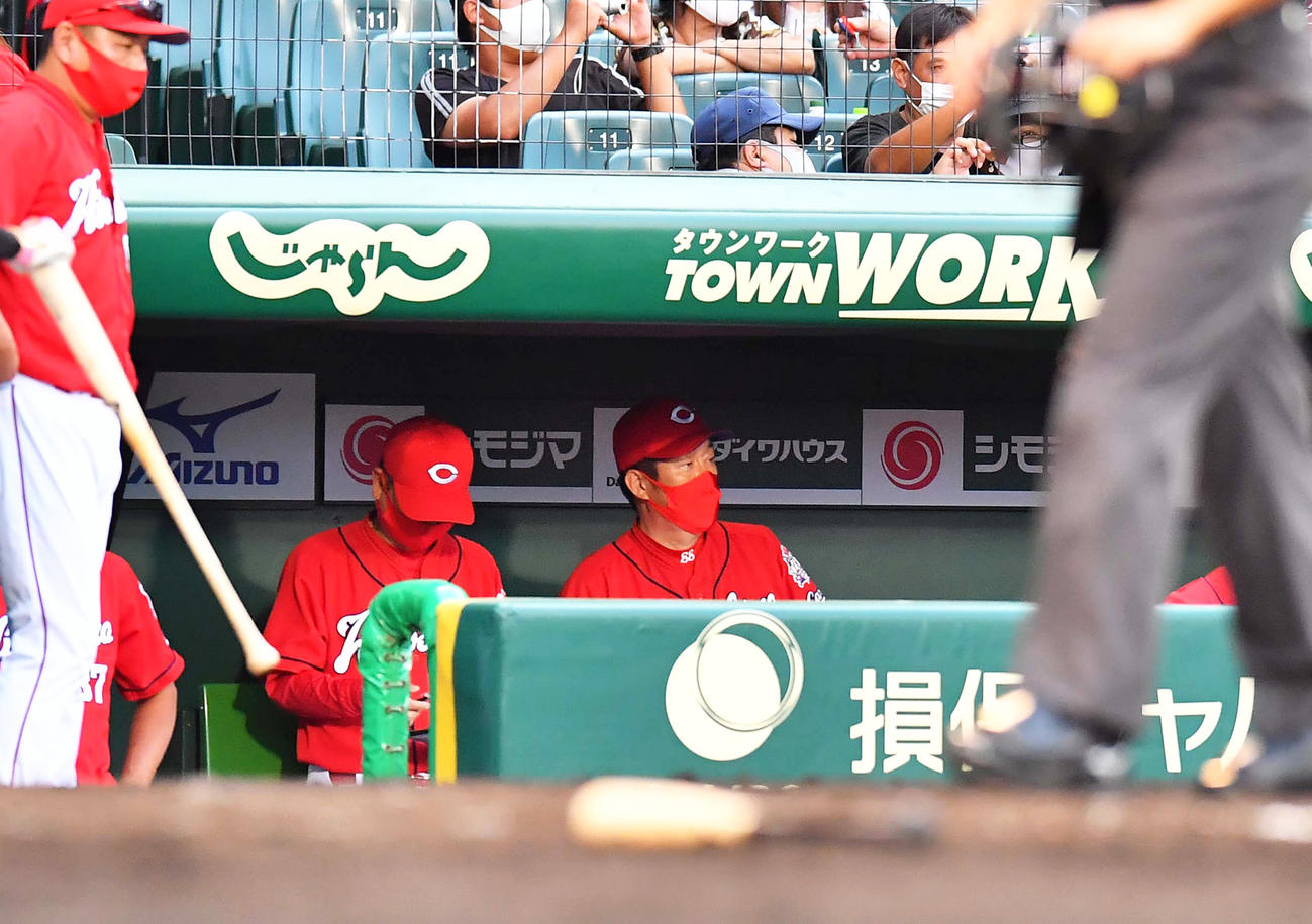 阪神に3連敗しベンチで呆然とする佐々岡真司監督（中央）（撮影・上田博志）