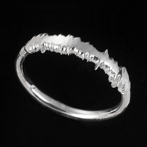 巨人亀井の「GIANTS　ENCODE　RING」（球団提供）