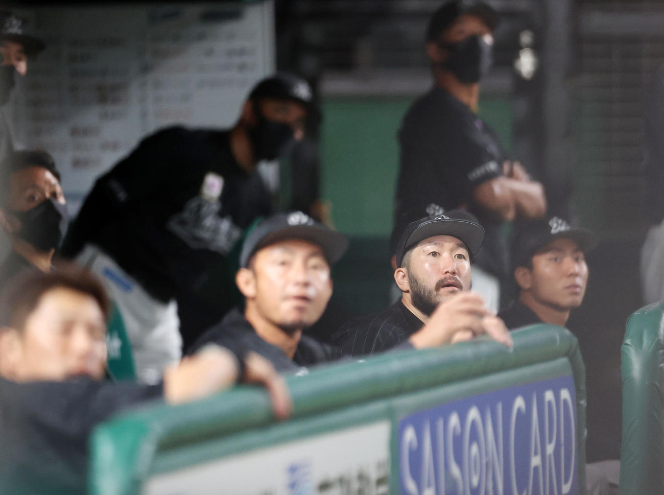 西武対ロッテ　8回裏西武2死三塁、スパンジェンバーグが右越え逆転2点本塁打を放ち、ベンチから打球を見つめる石川（右）。左奥は井口監督（撮影・浅見桂子）