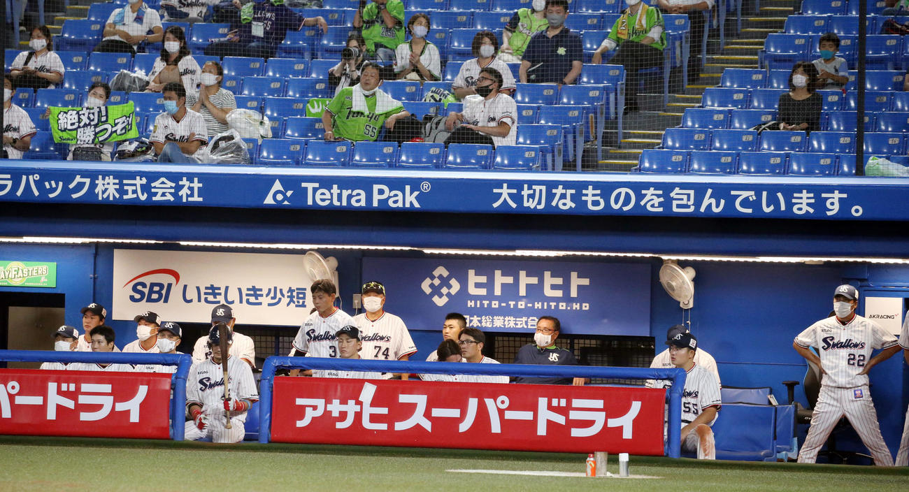 ヤクルト対DeNA　9回、厳しい表情で戦況を見つめるヤクルトの選手たち（撮影・垰建太）