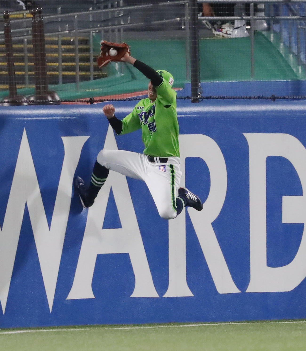 ヤクルト対DeNA　9回表DeNA2死、山下の打球をフェンスに激突しながら好捕する上田（撮影・垰建太）