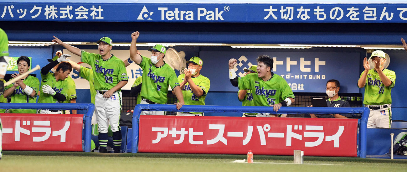 ヤクルト対DeNA　7回裏ヤクルト2死一、二塁、代打宮本の勝ち越しの適時内野安打で盛り上がるナイン（撮影・滝沢徹郎）