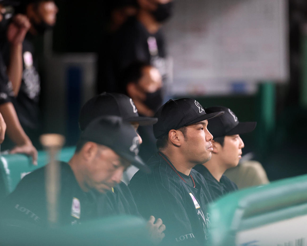 西武対ロッテ　ベンチで試合を見つめるロッテ井上（中央）（撮影・浅見桂子）