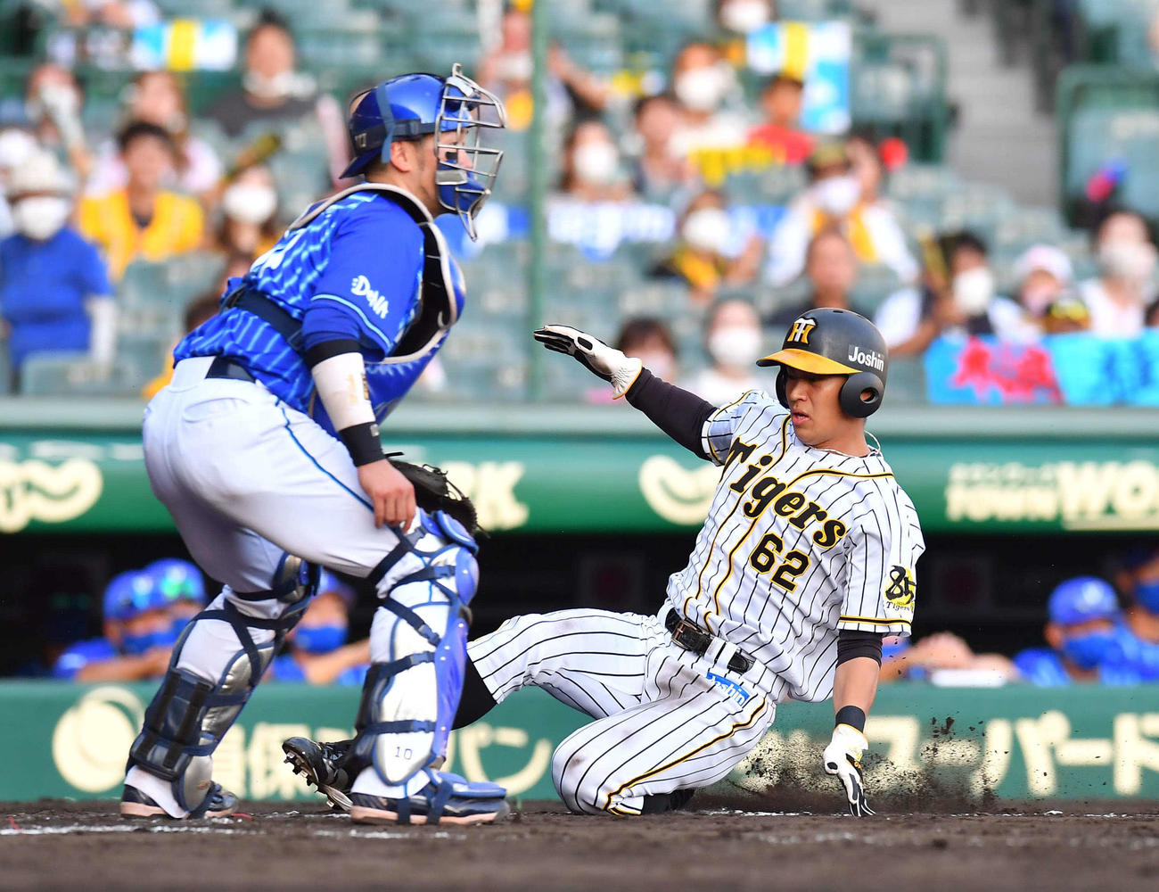阪神対DeNA　8回裏阪神1死三塁、木浪聖也の中犠飛で生還する植田海（撮影・上田博志）