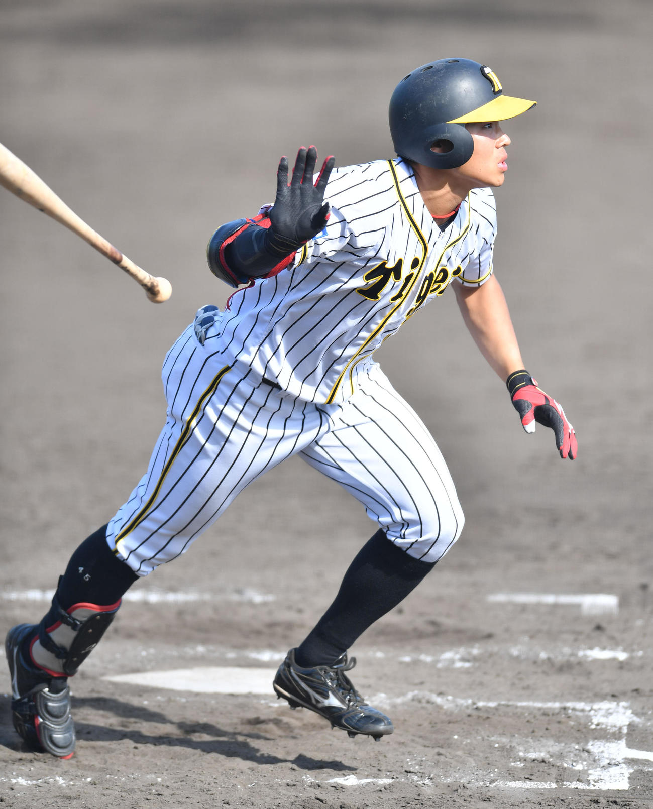 阪神遠藤成（2020年9月19日撮影）