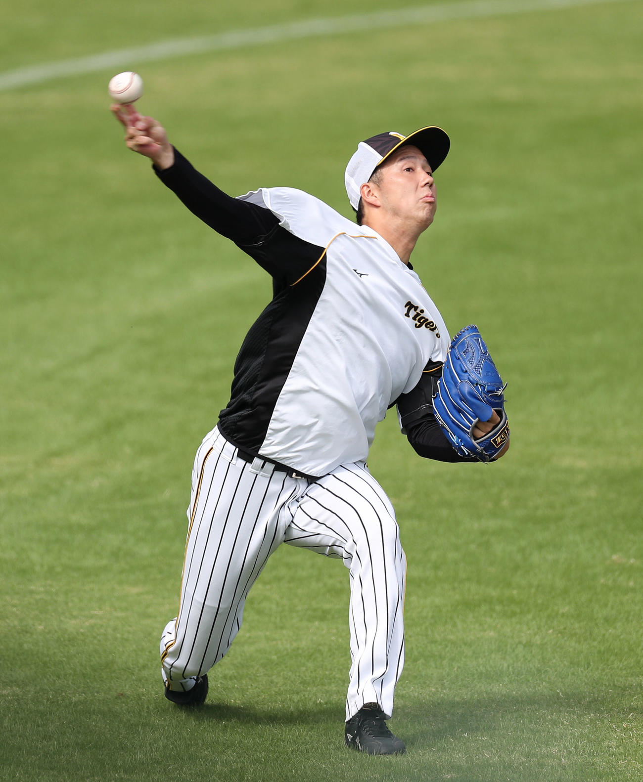 阪神対DeNA　試合前練習でキャッチボールを行う阪神青柳（撮影・前田充）