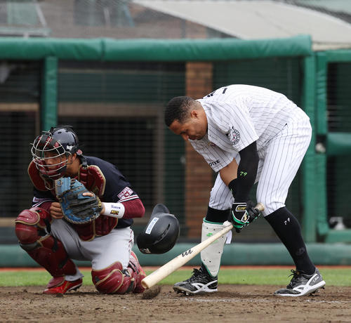 楽天あわや乱闘騒ぎ ロッテ マーティン死球に怒り プロ野球写真ニュース 日刊スポーツ