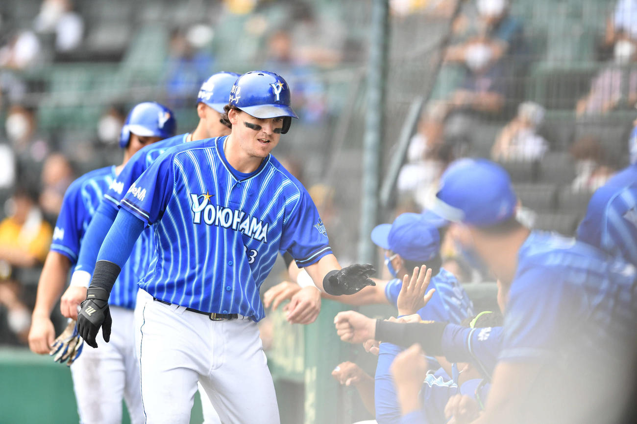 阪神対DeNA17回戦　5回表DeNA無死一、二塁、タイラー・オースティンは左越え逆転3点本塁打を放ちナインとタッチを交わす（撮影・岩下翔太）