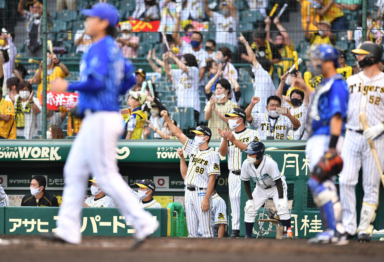 阪神対DeNA17回戦　8回裏阪神1死二、三塁、糸井嘉男が勝ち越しの2点適時二塁打を放ち、ベンチでガッツポーズする矢野燿大監督（撮影・岩下翔太）