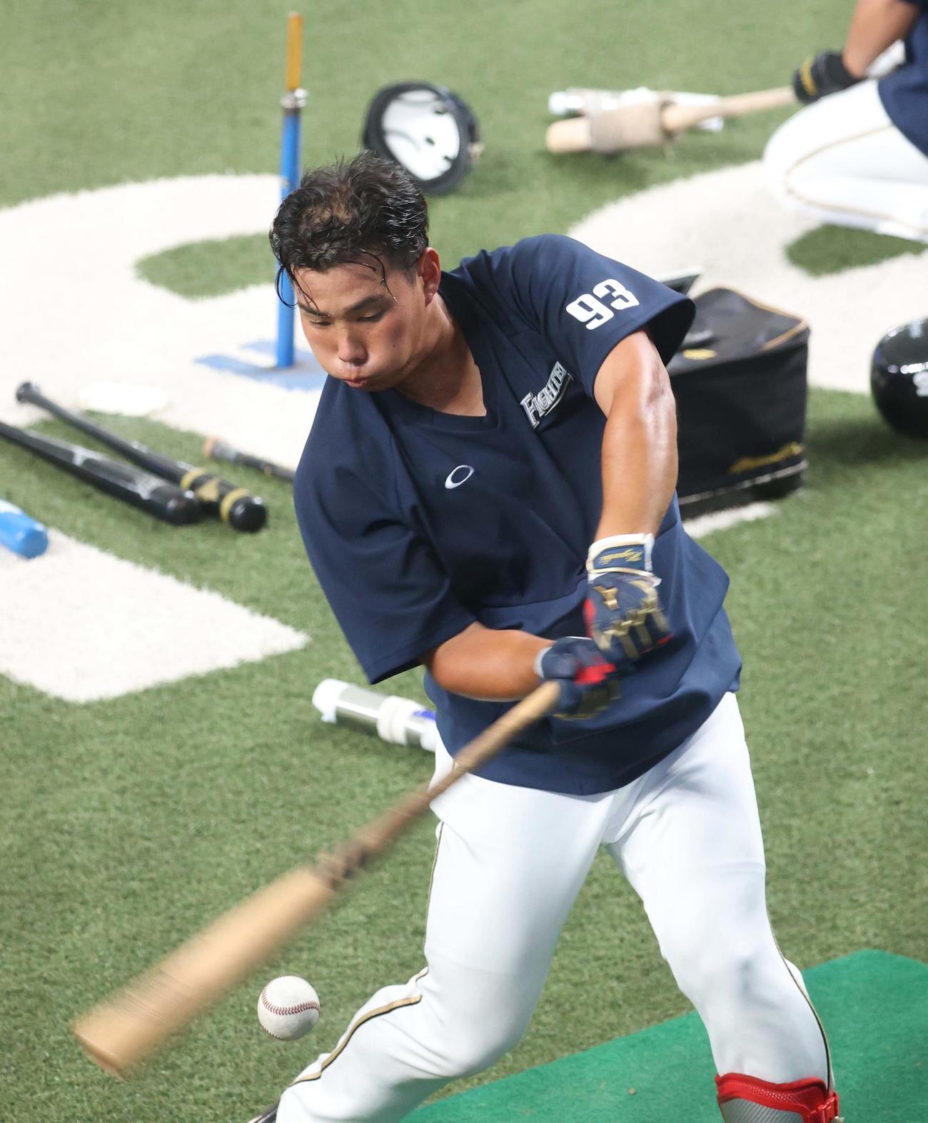 西武対日本ハム　試合前、打撃練習をする日本ハム樋口（撮影・佐藤翔太）