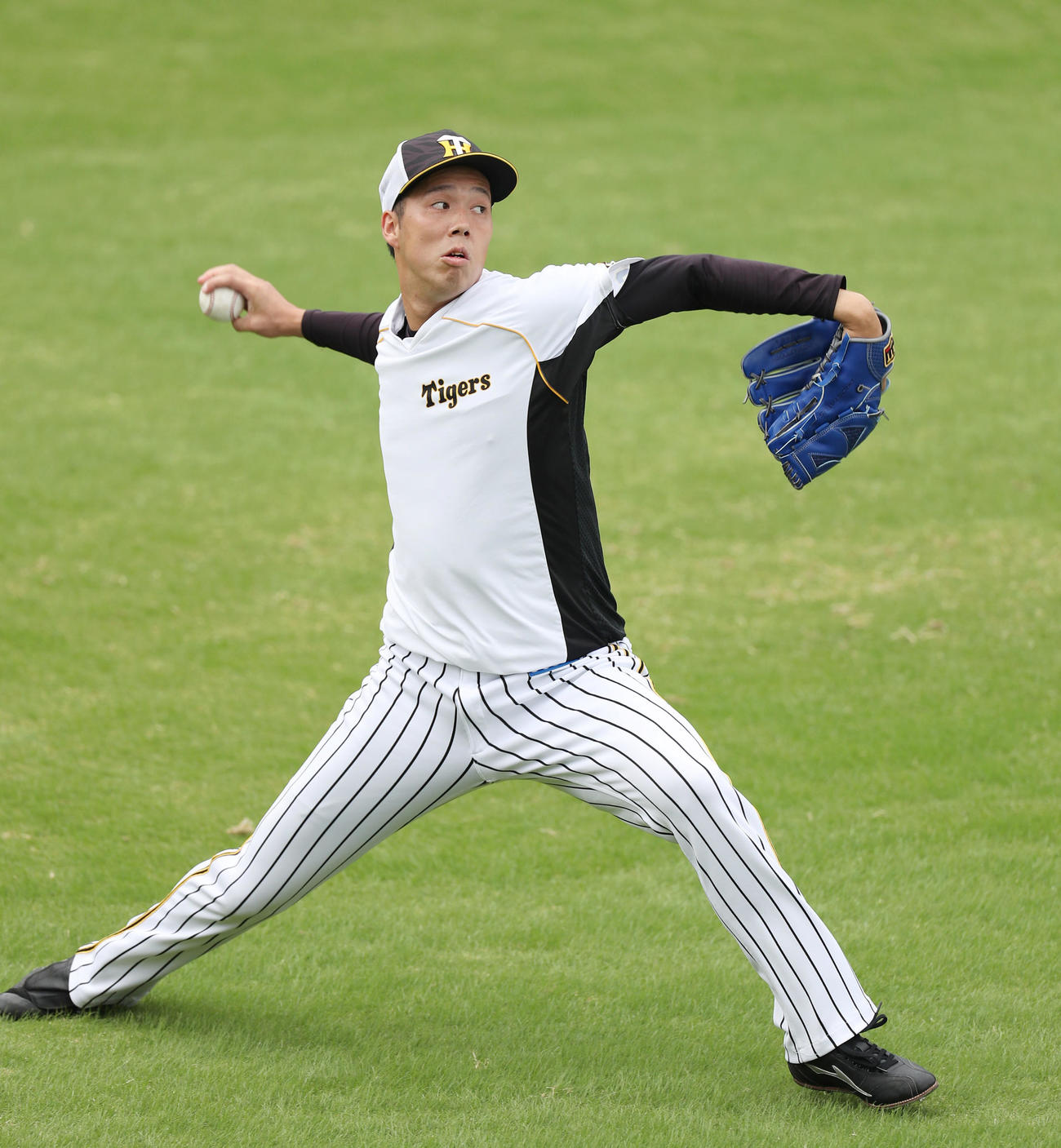 阪神対DeNA　試合前練習でキャッチボールを行う阪神青柳（撮影・前田充）