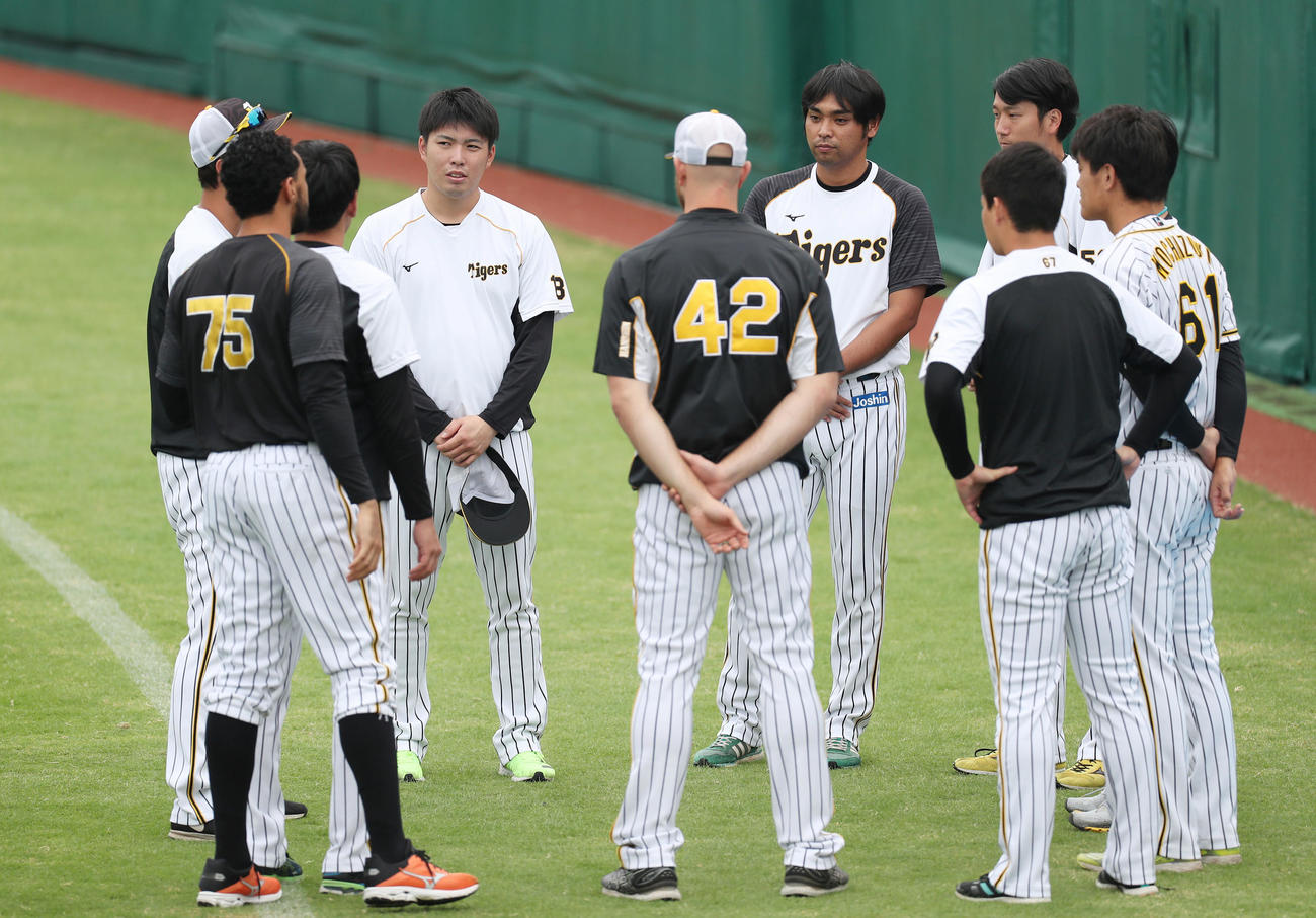 阪神対DeNA　練習前に集合する阪神リリーフ陣（撮影・前田充）