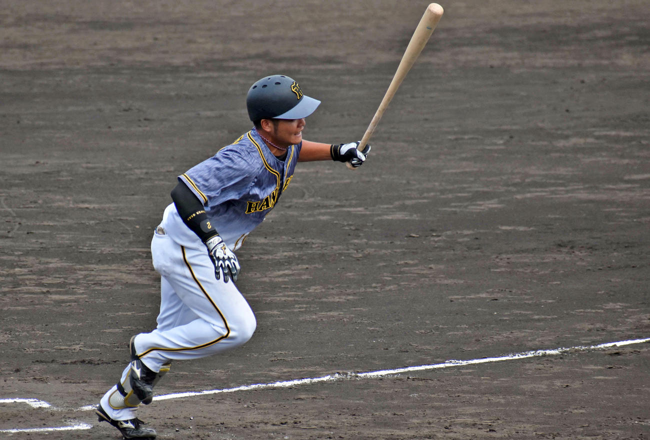 ウエスタンリーグ広島戦で、阪神育成ドラフト1位の小野寺暖外野手は2回に中前打を放つ（撮影・只松憲）