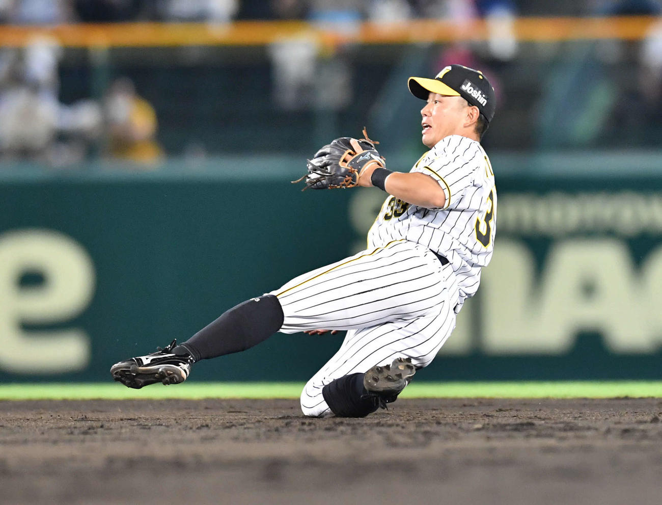 阪神対DeNA　5回表DeNA2死一、二塁、糸原はソトの二ゴロを好捕し、二塁へ送球する（撮影・岩下翔太）