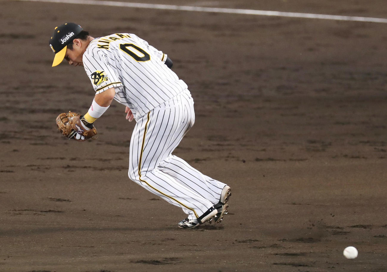 阪神対DeNA　5回表DeNA無死、木浪は柴田の打球を後逸する（撮影・前田充）