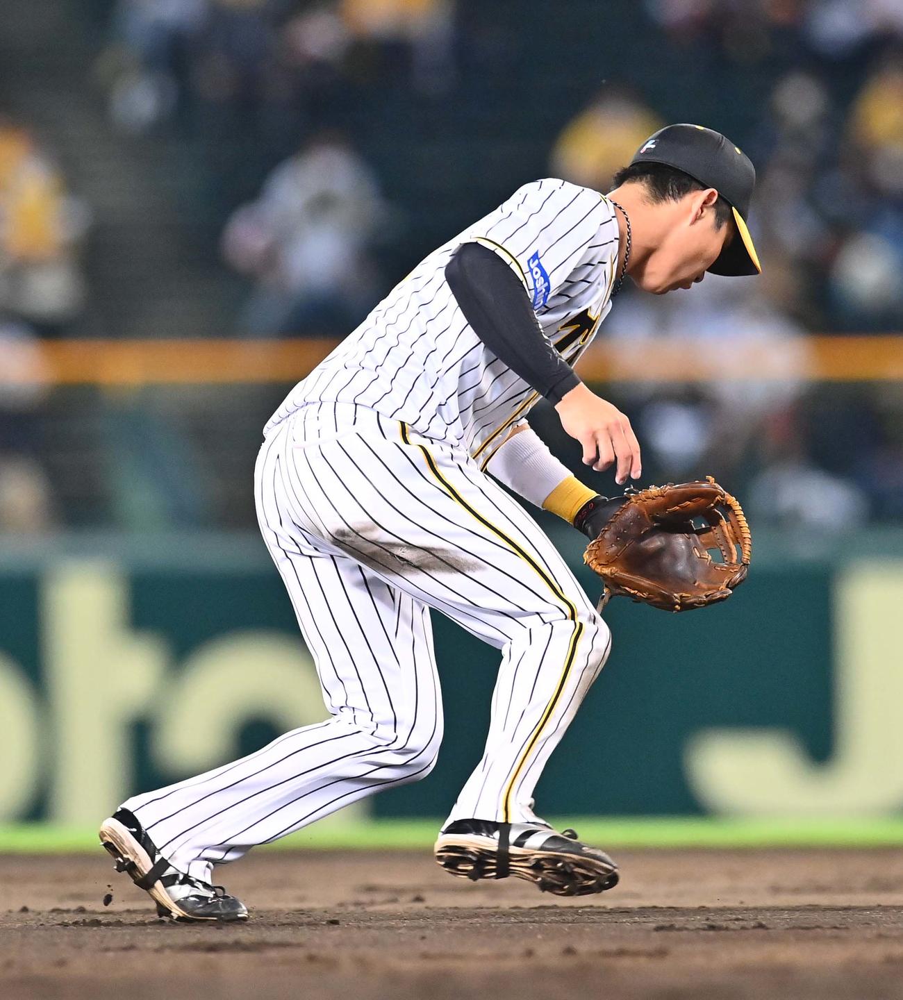 阪神対DeNA　5回表DeNA無死、柴田の打球を後逸する木浪（撮影・上田博志）