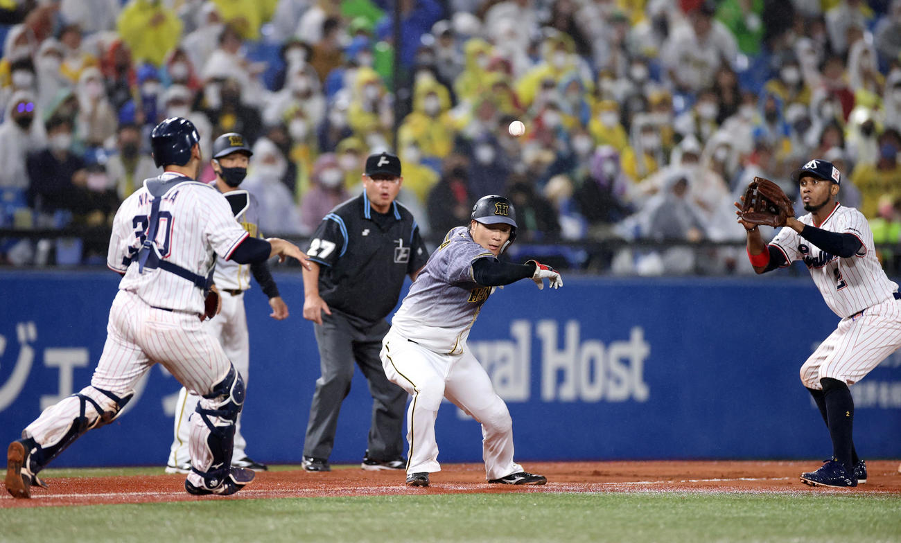 ヤクルト対阪神　6回表阪神無死二、三塁、坂本がスクイズを失敗し、挟殺される大山（中央）（撮影・狩俣裕三）